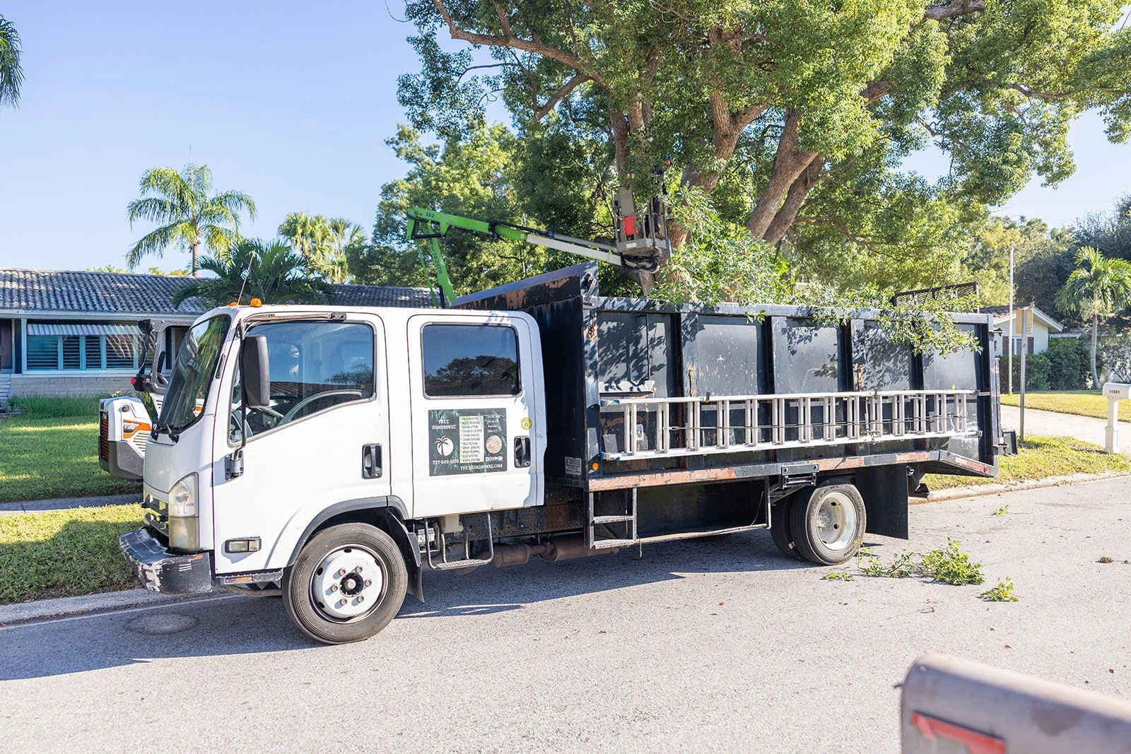 How Tree Roadhouse Handles Storm and Emergency Tree Services Fast