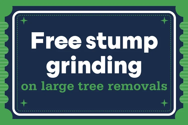 Green and white coupon offering free stump grinding service for large tree removals.