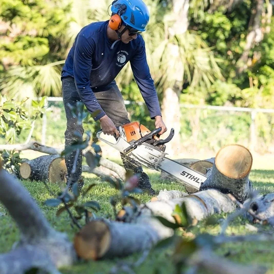 Tree trimming in a residential area of Largo improving tree health, reducing storm risks, and supporting the local environment.