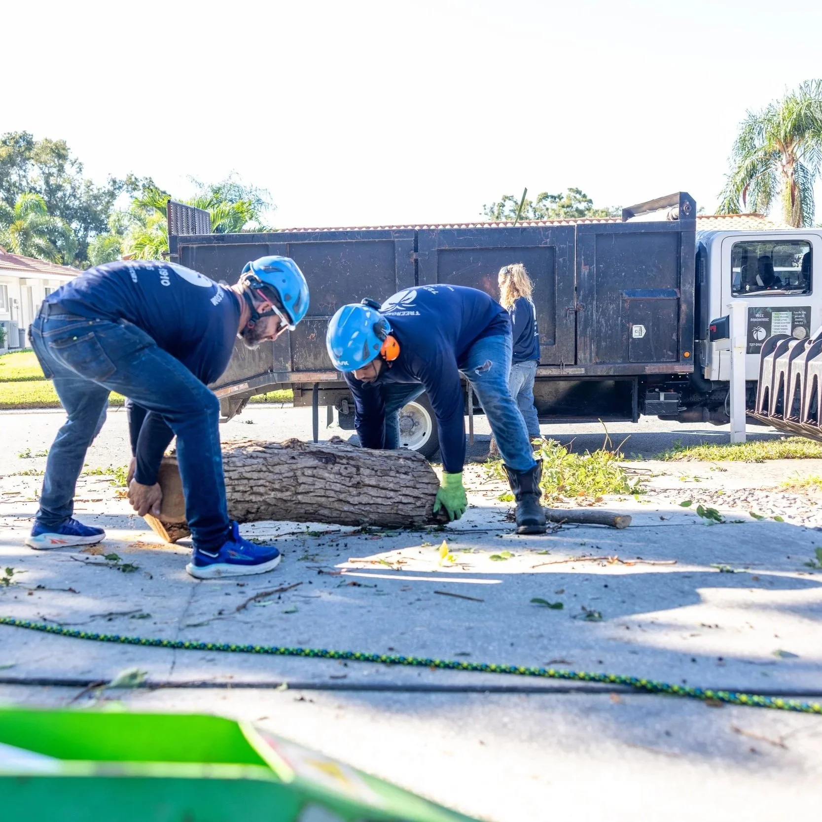 Arborist installing cables and braces on a weak tree in Largo to provide structural support and prevent storm damage.