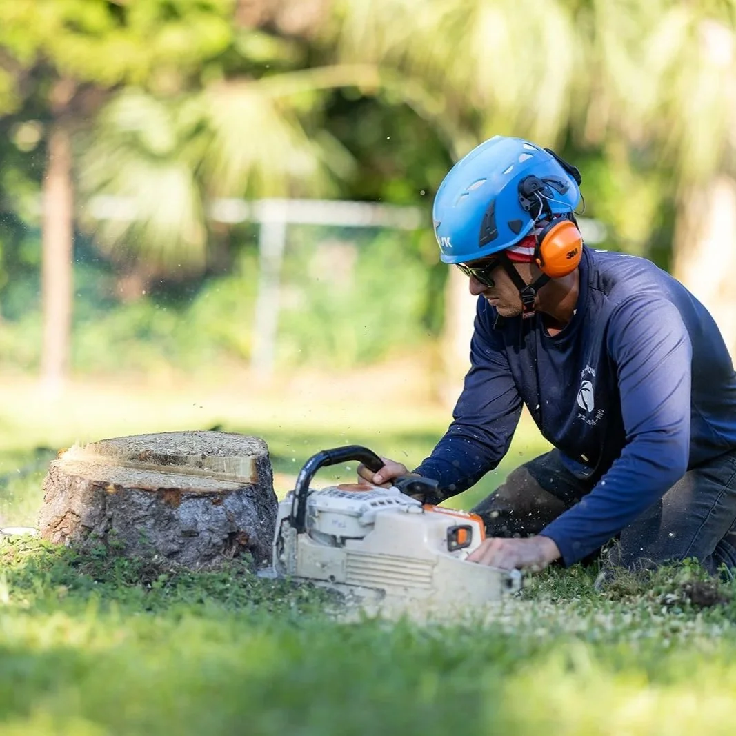 Why Stump Removal and Grinding Are More Than Cosmetic Fixes