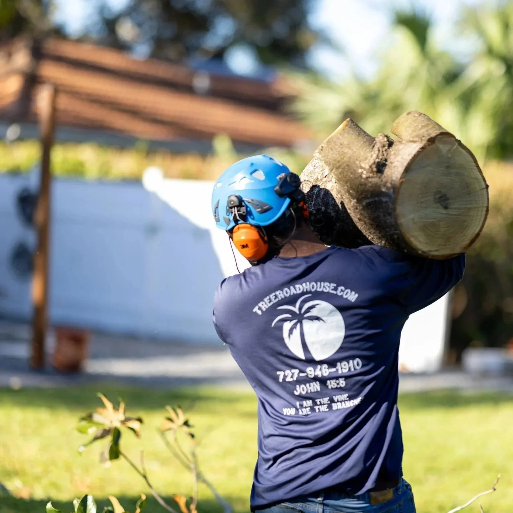 Arborist pruning a Largo, FL tree, removing crowded branches to improve airflow, structure, and overall tree health.