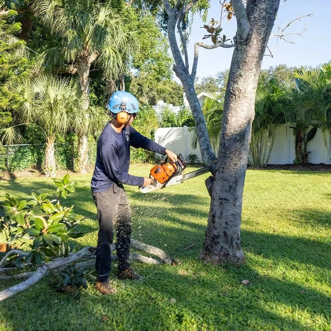 How to Prepare Trees for Hurricane Season in Largo, FL