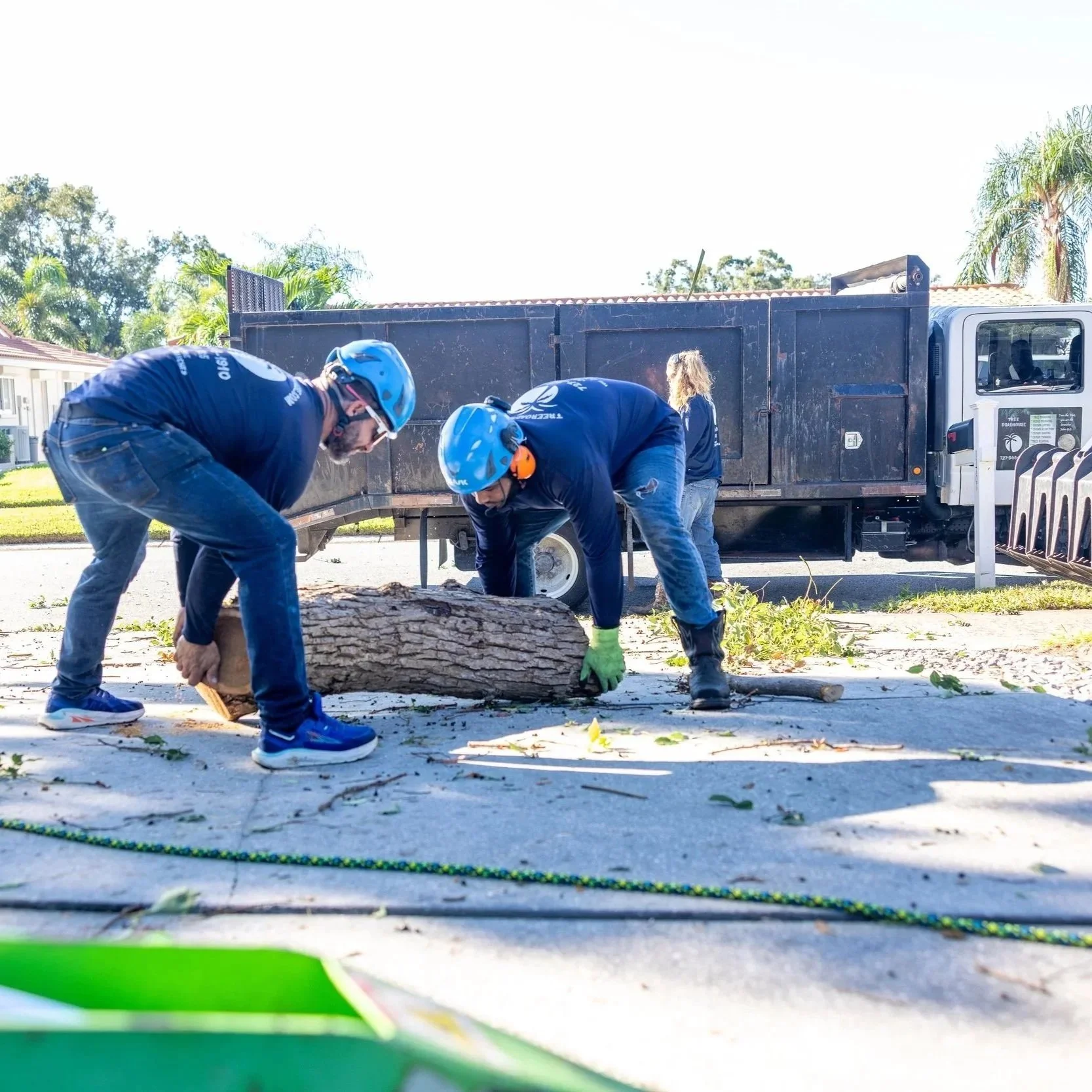 Tree cabling installed on a Florida oak to reinforce weak branches, preventing storm damage to nearby homes and property.