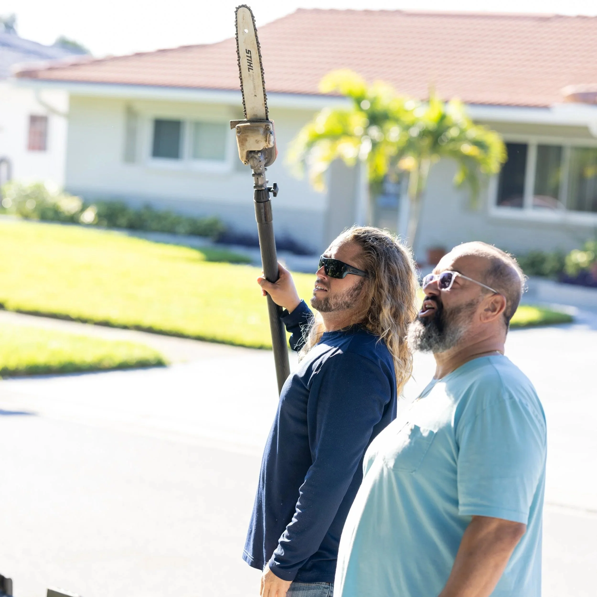 That Tree Is Leaning Over My Driveway Again
