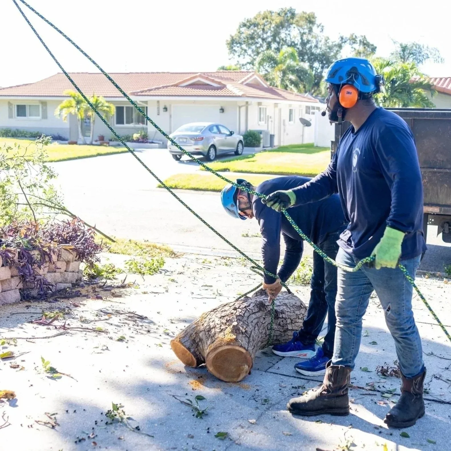Why Tree Deadwooding Removal Protects More Than You Think