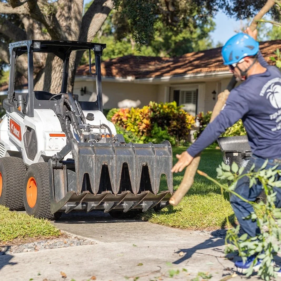 Tree Removal Services That Clear the Way for Safer Landscapes