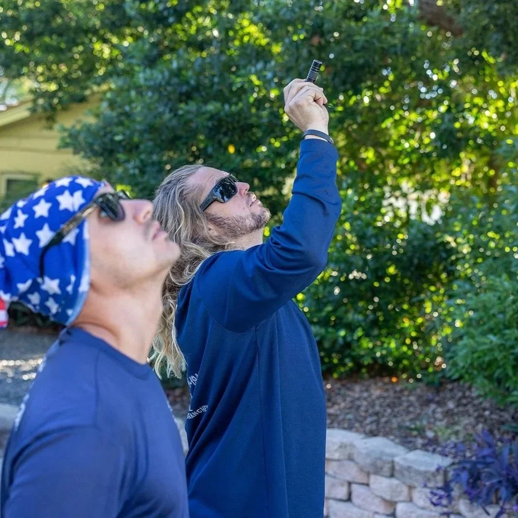 When Should You Prune Trees in Largo, FL?