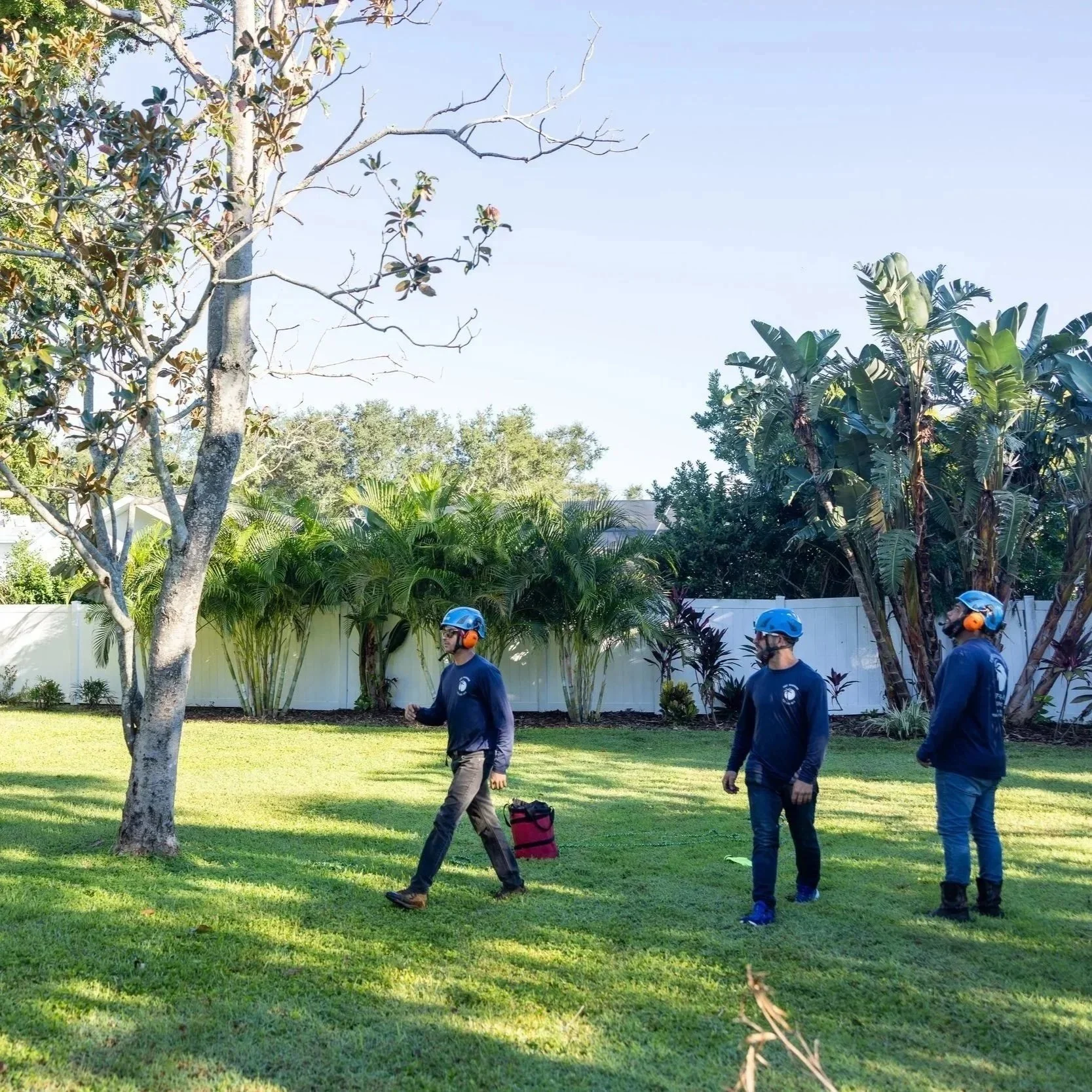 yard clean in florida
