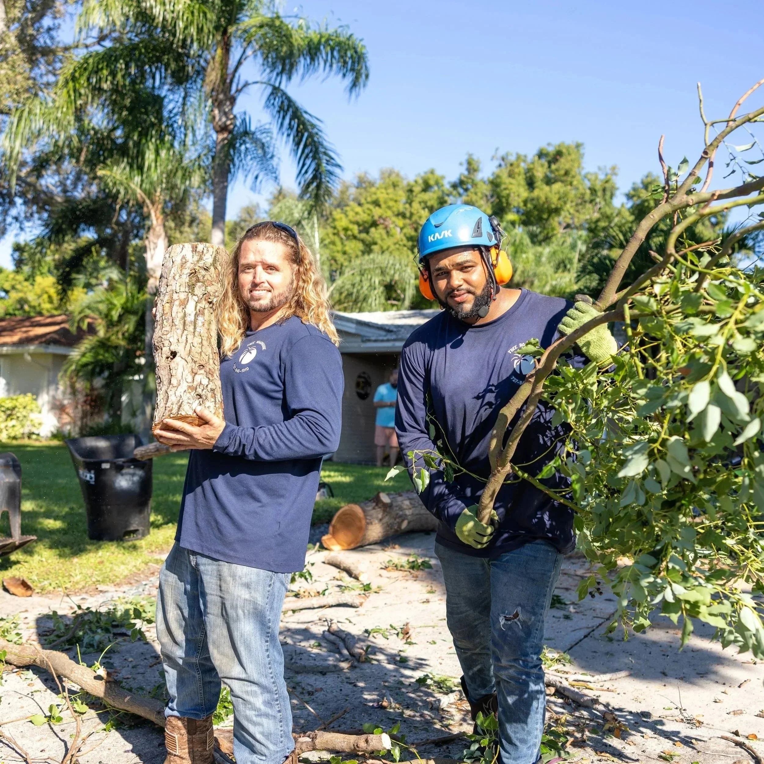 Professional trimming a tree in Largo, FL, following city regulations to ensure safety, tree health, and neighborhood compliance.
