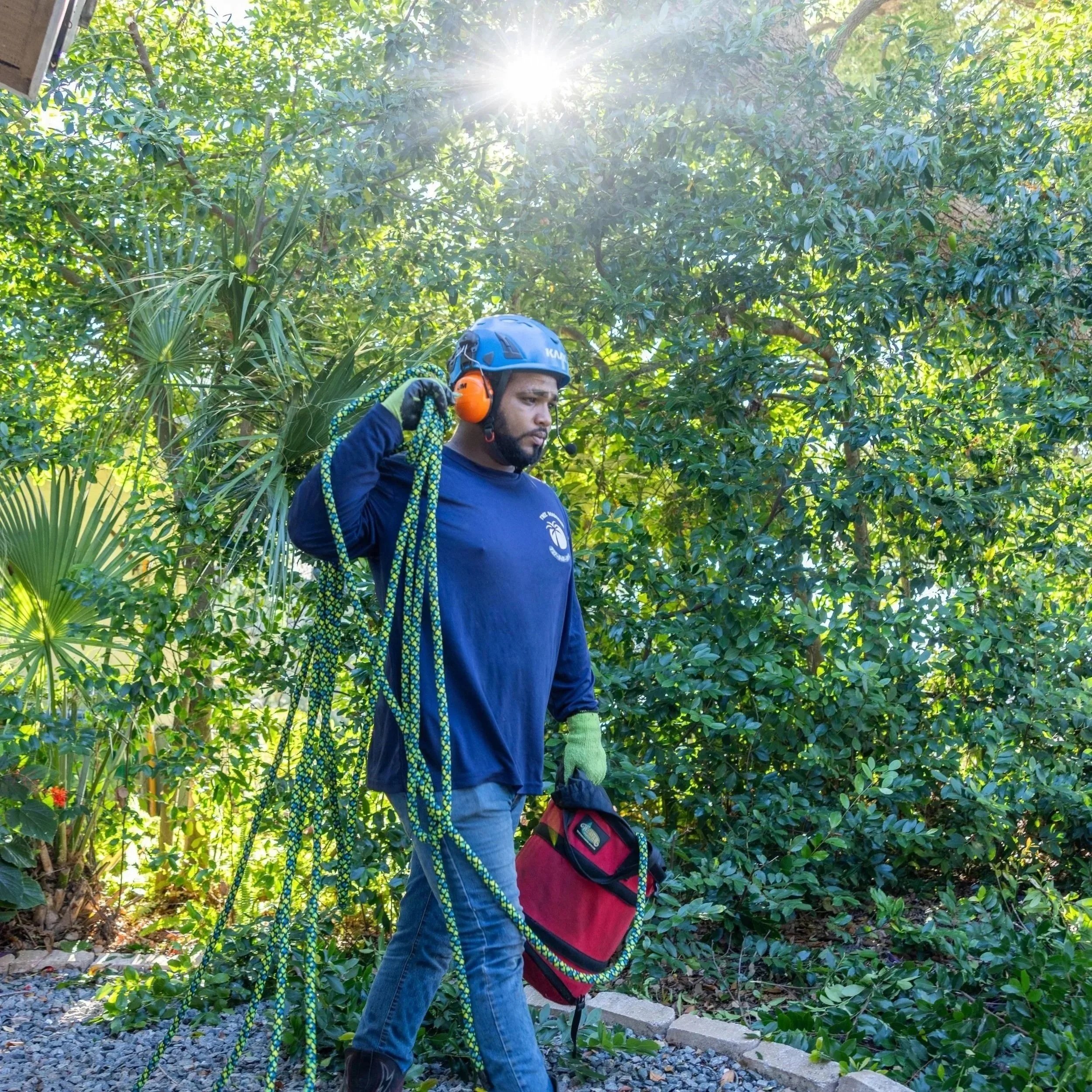 Technician inspecting a tree cabling system in Largo, FL, ensuring cables and hardware are secure for storm safety.