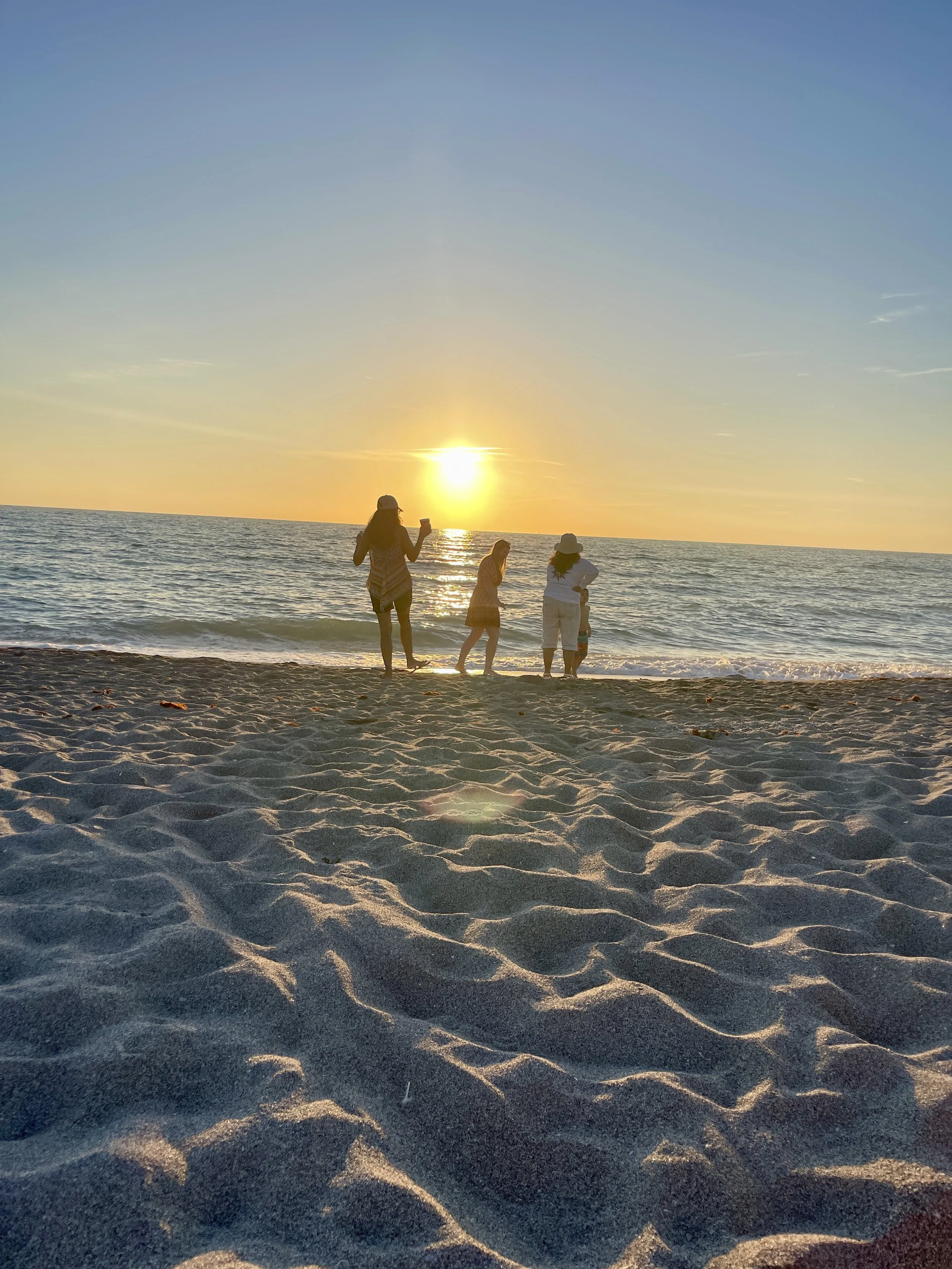 12 Hallmarks of Aging