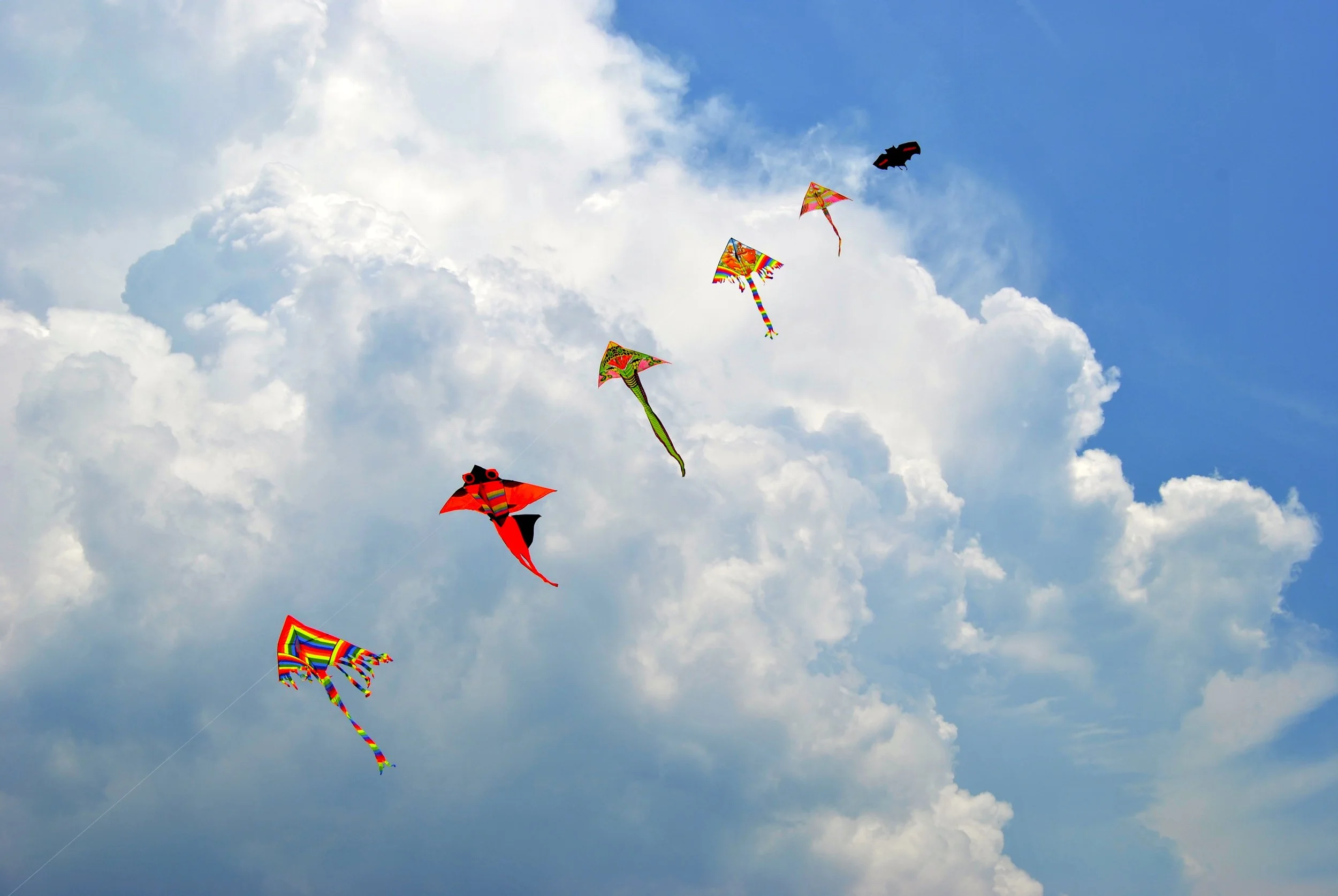 The Healthy Style. Natürlich jung bleiben – Die besten Longevity Hacks für jeden Tag