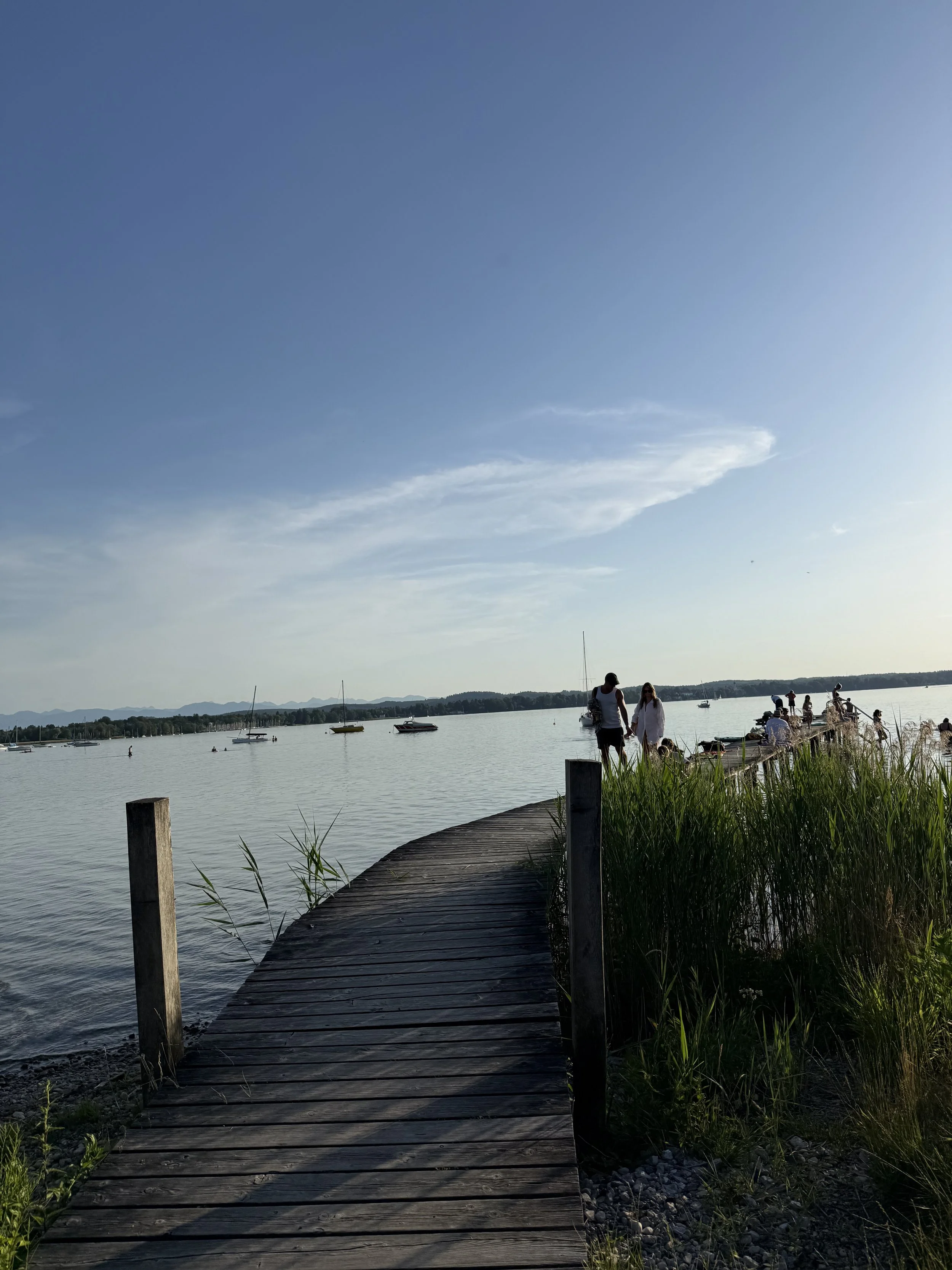 IMG_2369.jpeg