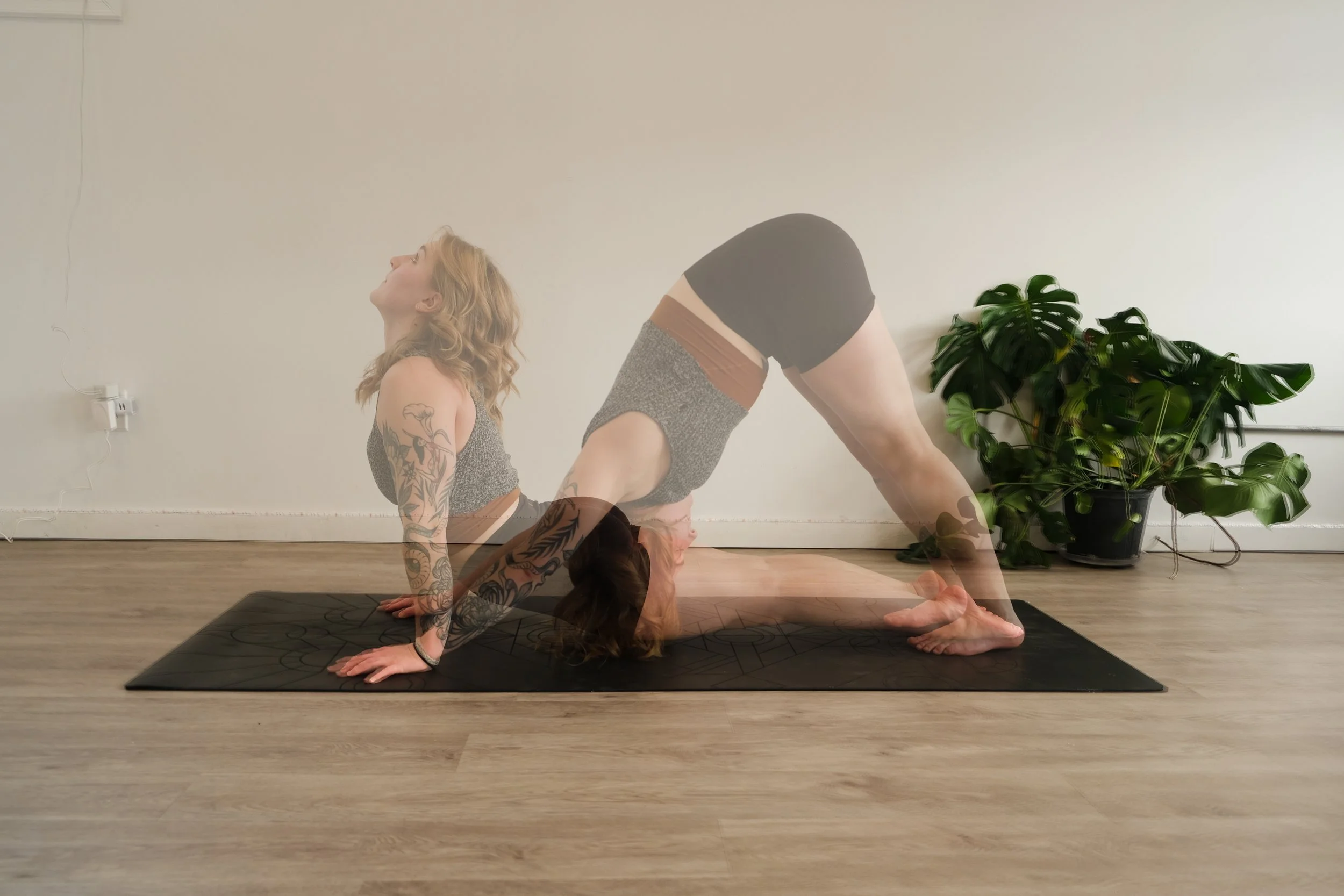 Hot Vinyasa at Edgemont Athletic