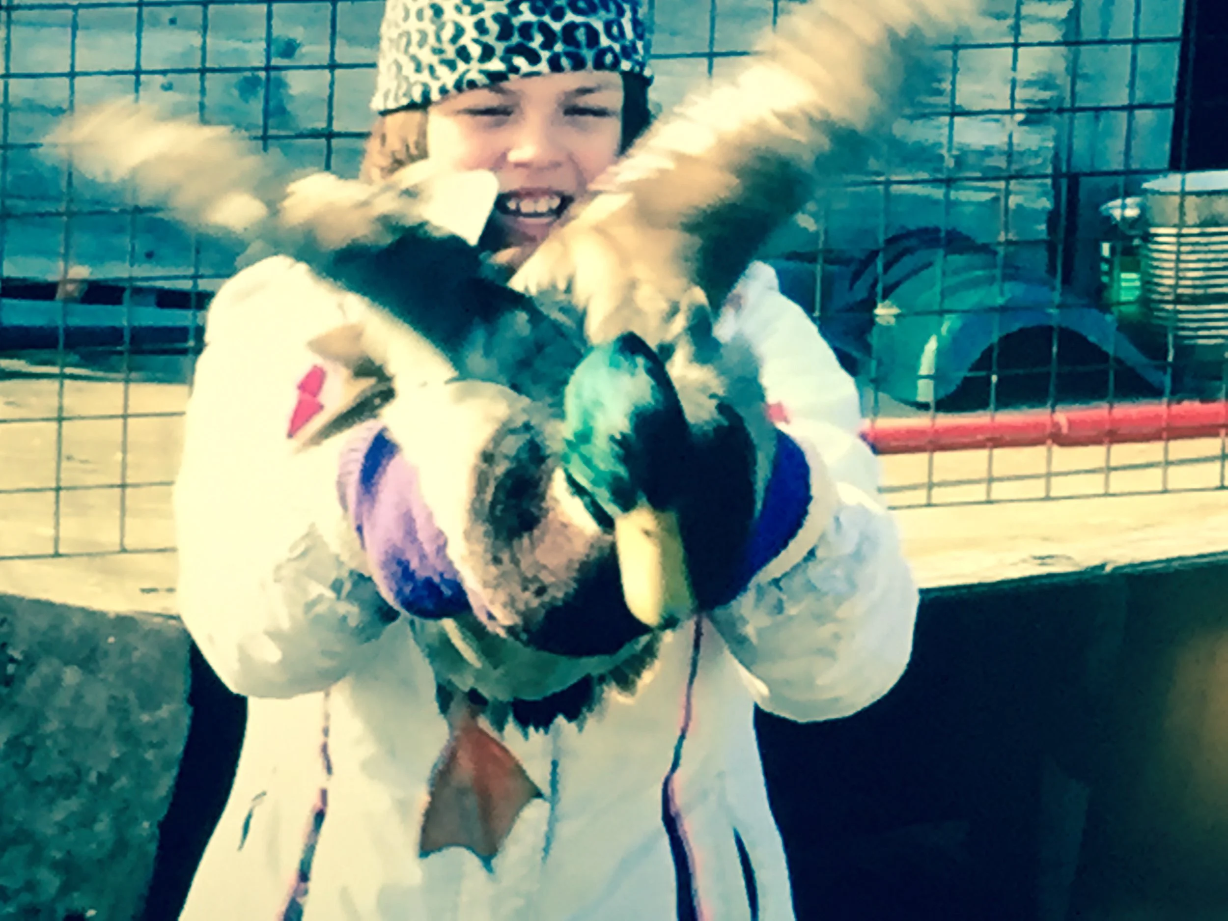 A young girl wearing a leopard print hat holding a duck by its wings.