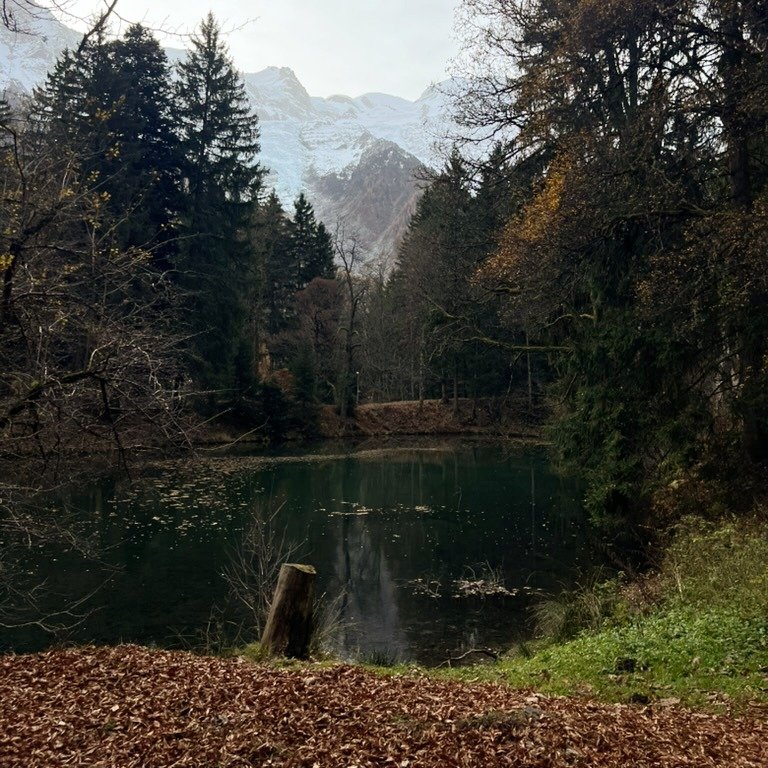 Autumn in Chamonix is understated and unforgettable.

Crisp air, glowing landscapes, and a season made for mindful walks or invigorating climbs.

All moments away from @chalet_dhonneur 

#chalet_dhonneur #HonourYourMoments #ChamonixAutumn #AutumnInTh