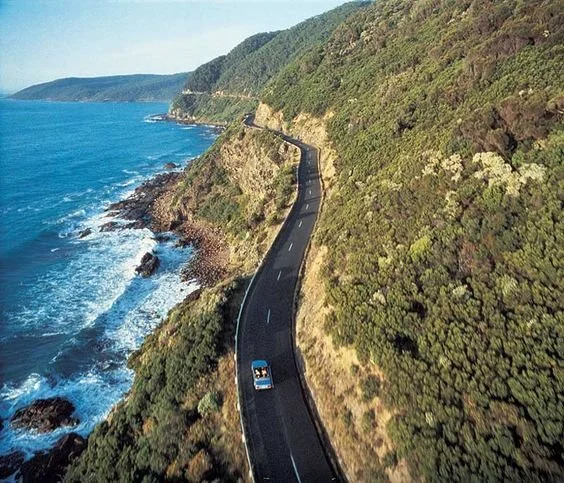 our bodies, our vehicles