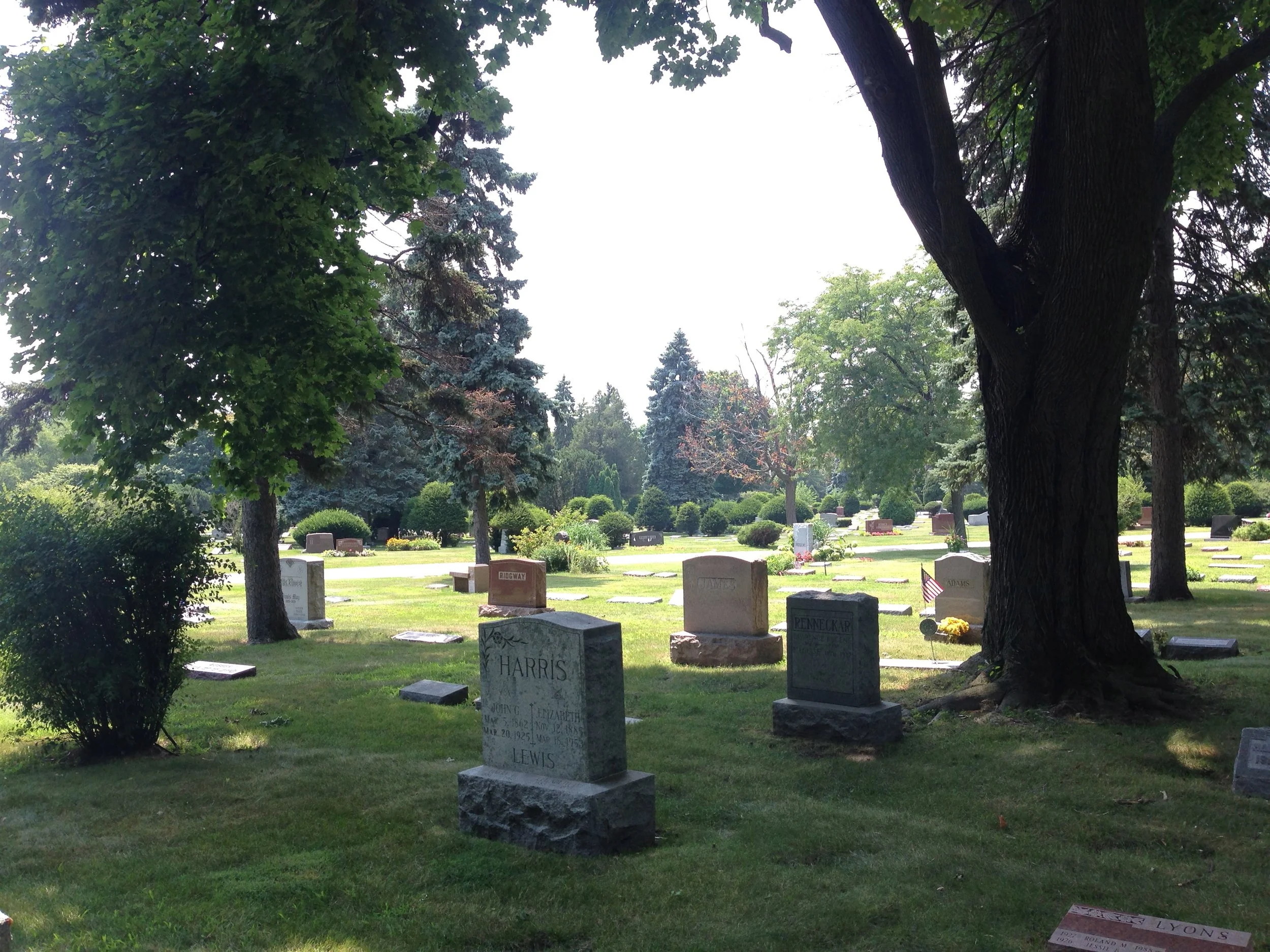 the dash that is our life