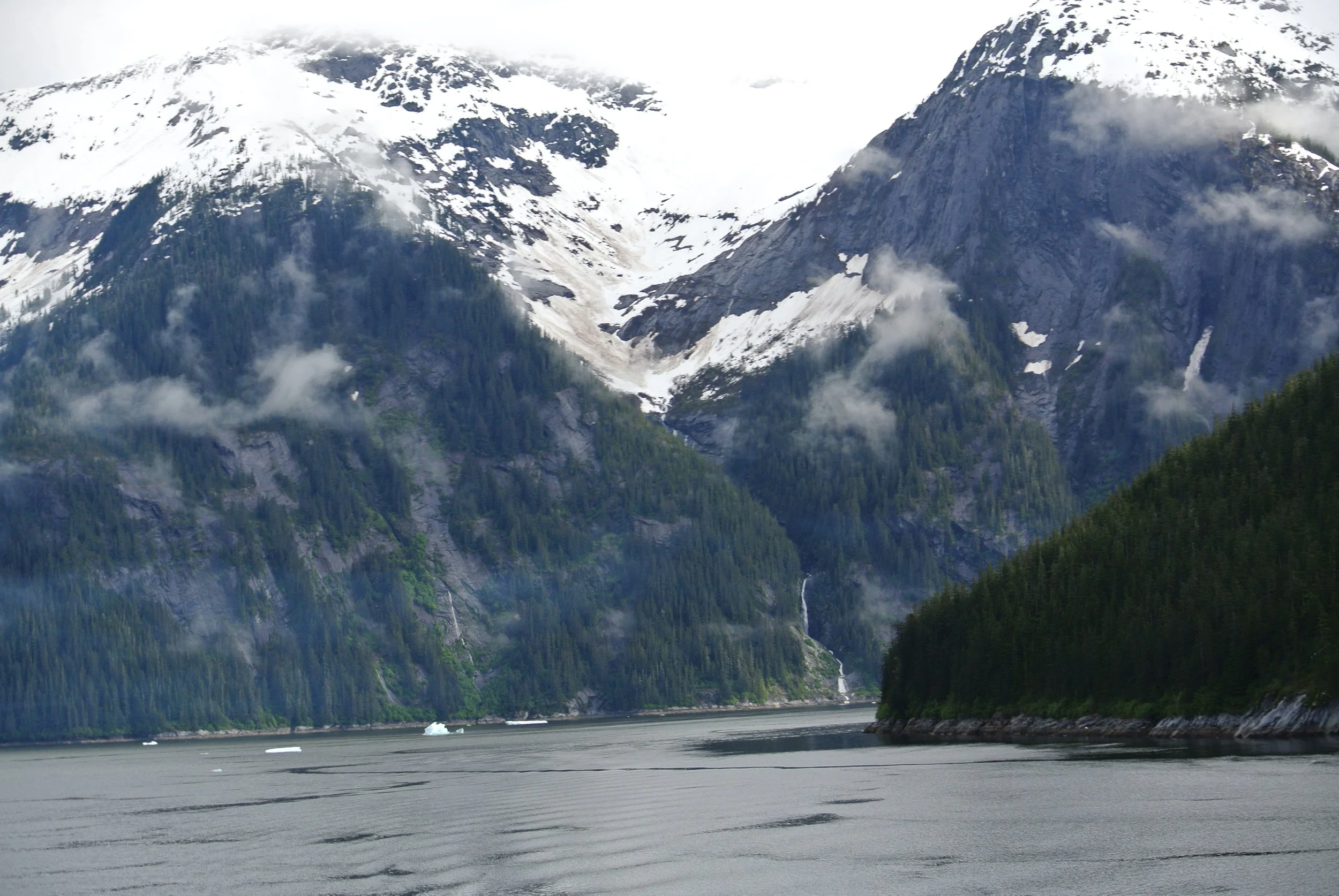 pull the plug on porn