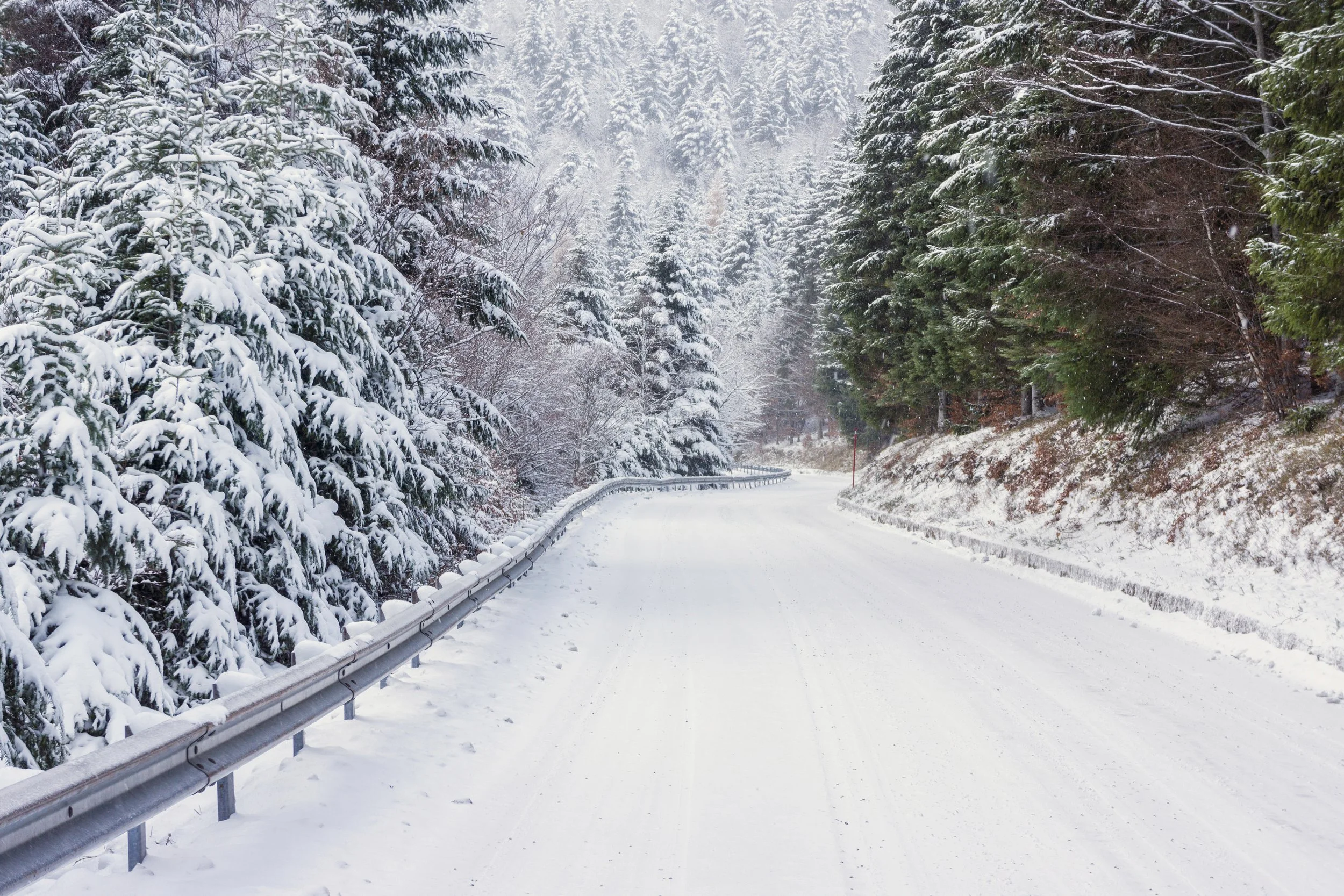 let there be peace on earth