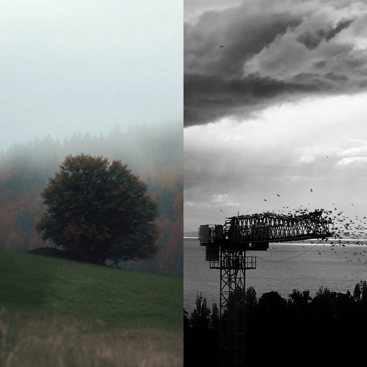 Dialectique automnale