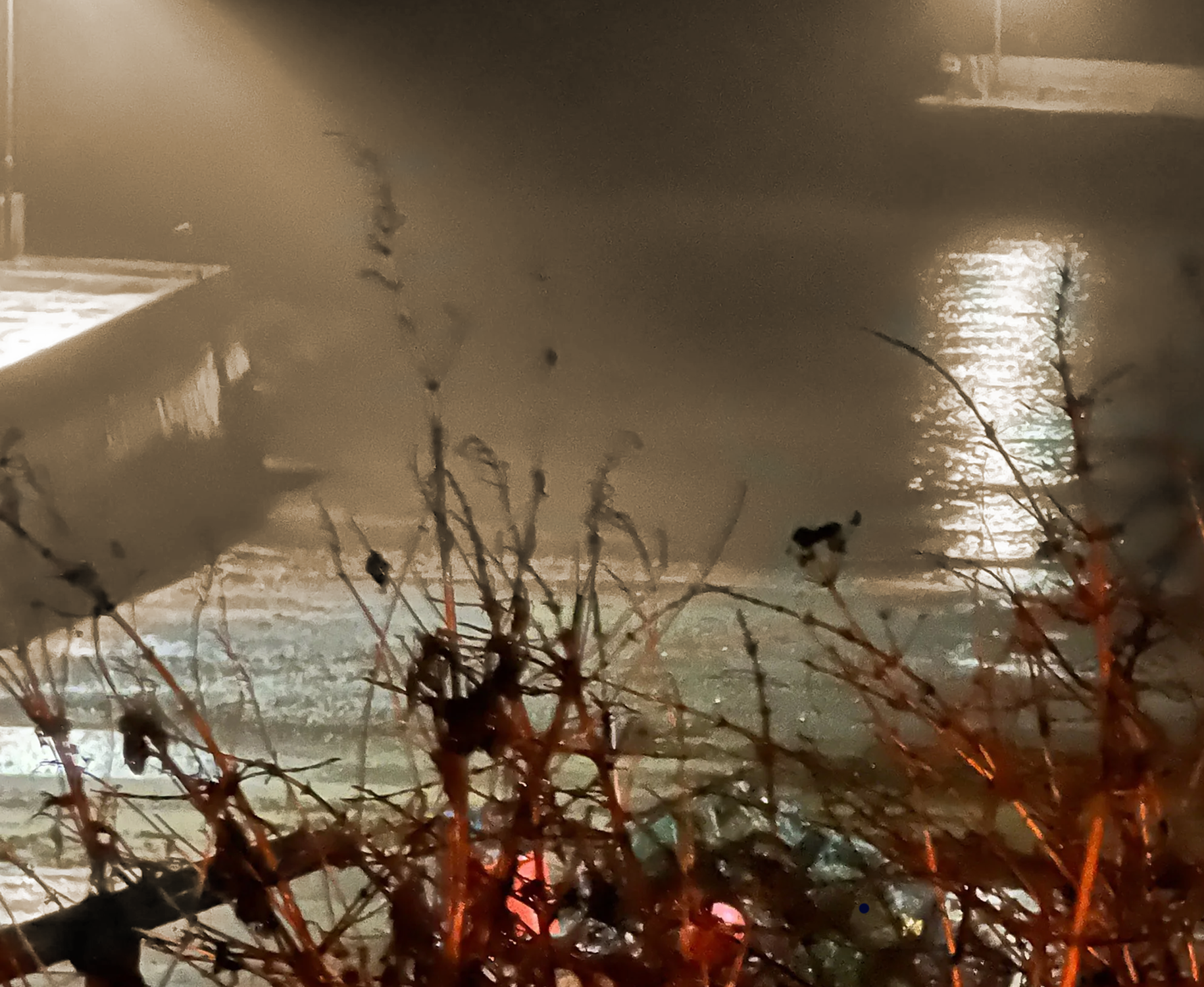 Rain-soaked window with raindrops on glass and wet tree branches outside.