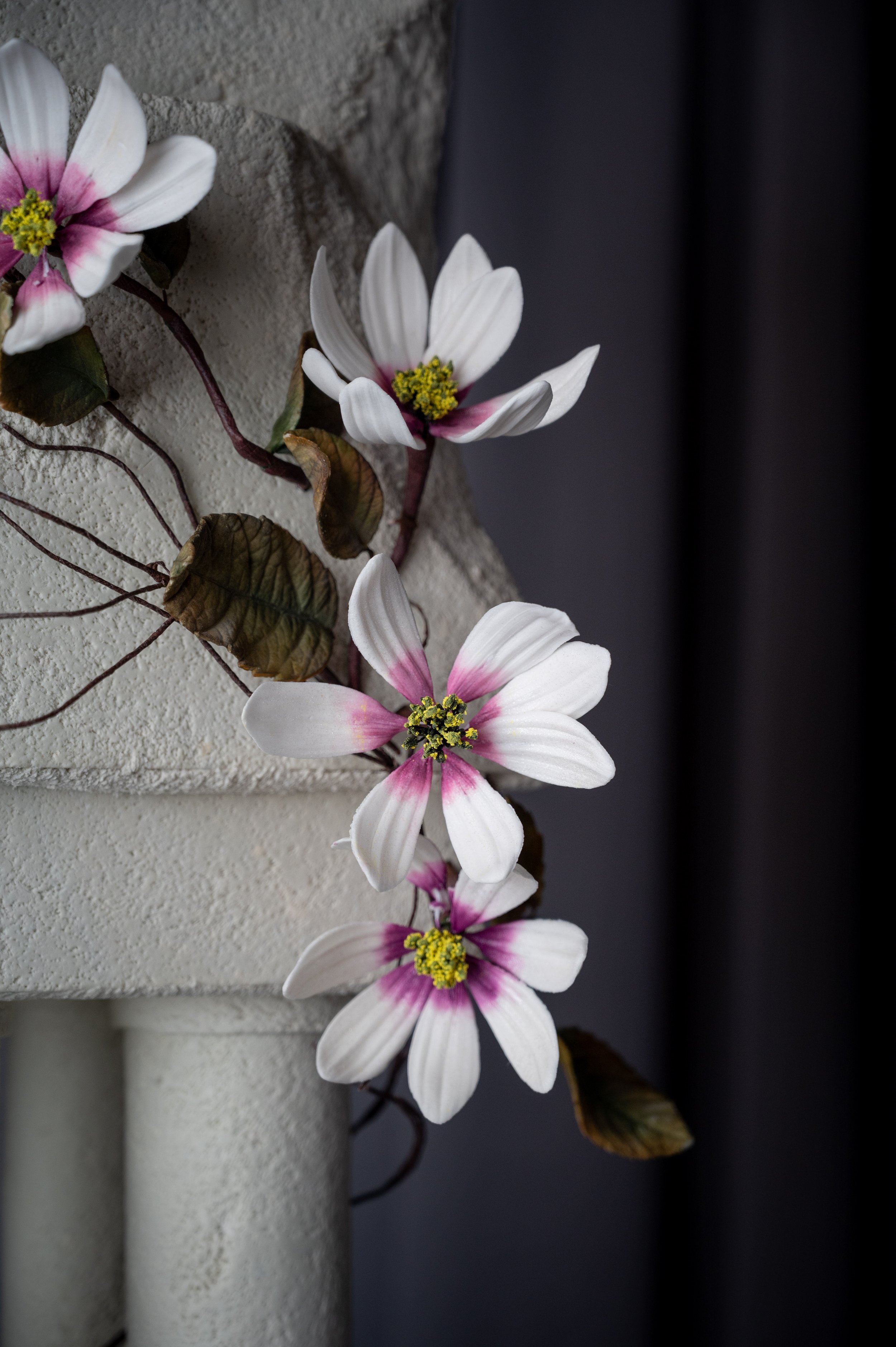 Our Latest Feature: Modern, Luxurious, ECBG