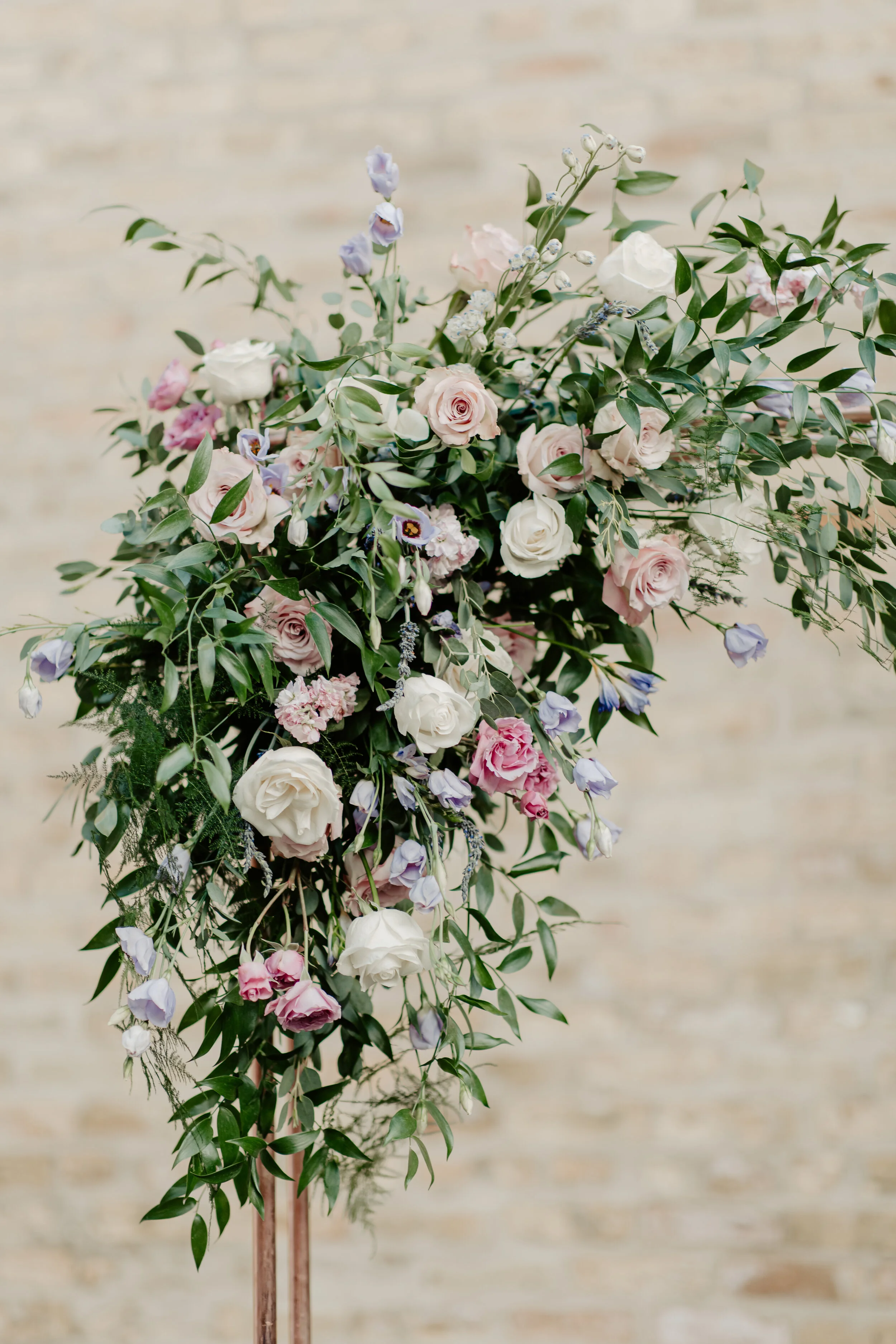 Copy of 3D8A6043.jpg