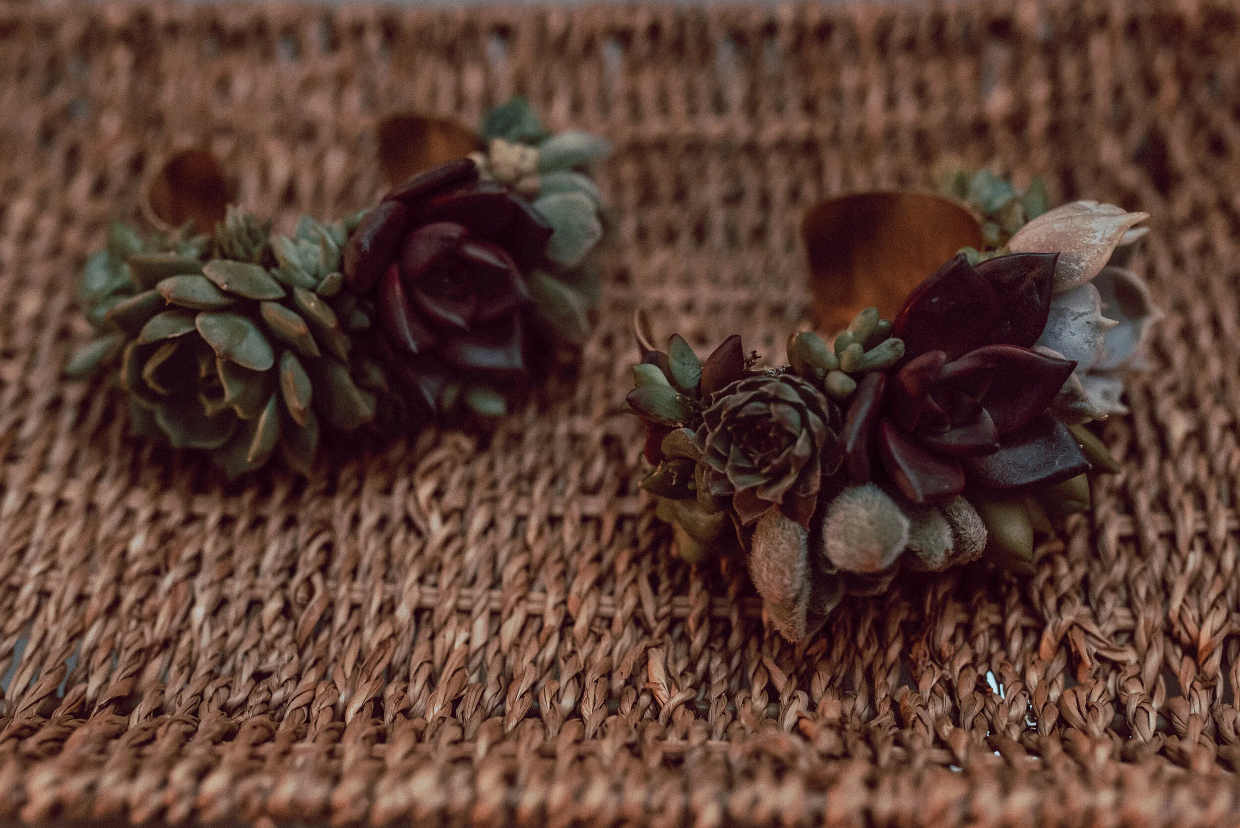 Copy of RinLindsayElope-162.jpg