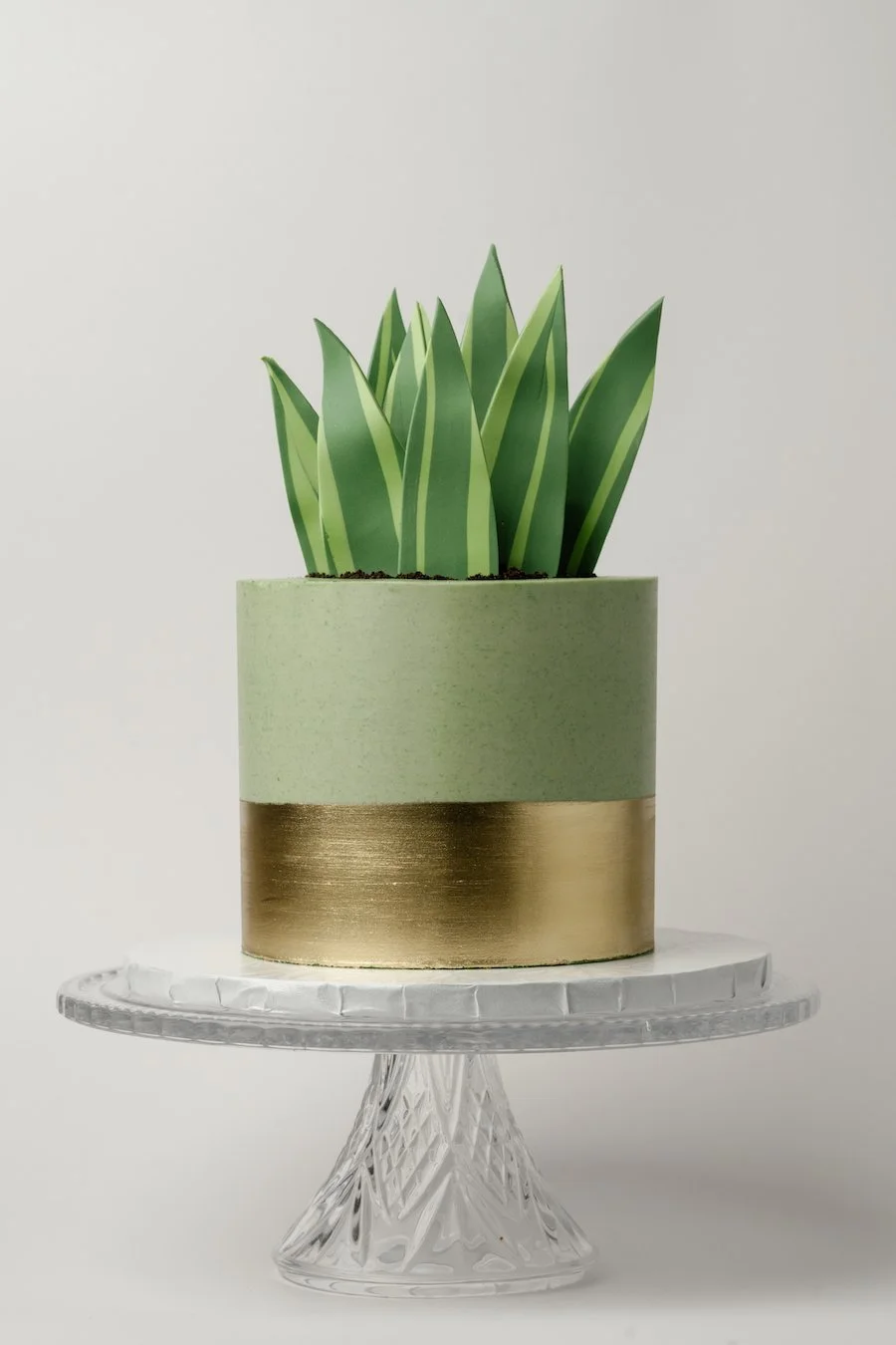 succulent cake ideas / succulents cake ideas - Whole Potta Love cake from ECBG