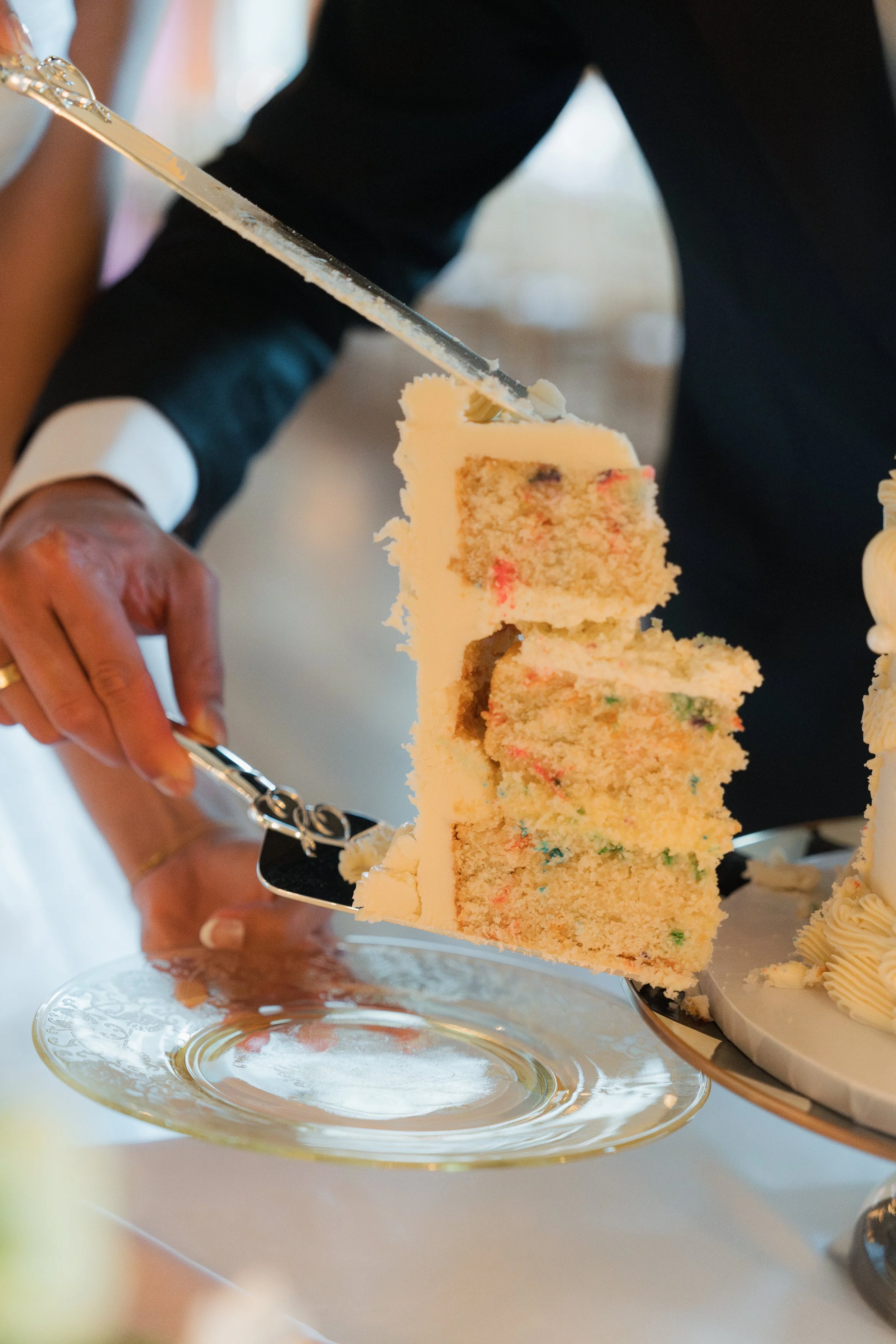 ECBG Cake Studio The Lookbook 2.jpg