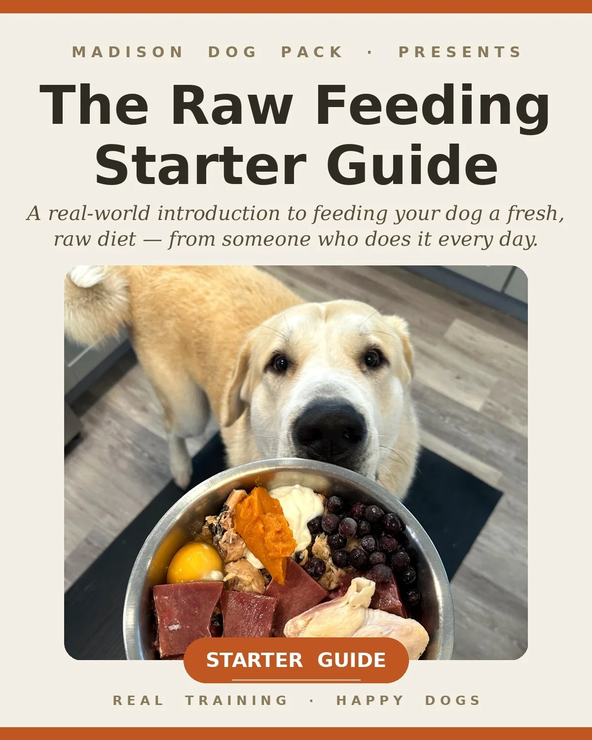 The Raw Feeding Starter Guide