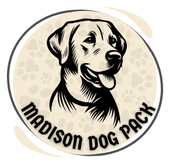Madison Dog Pack