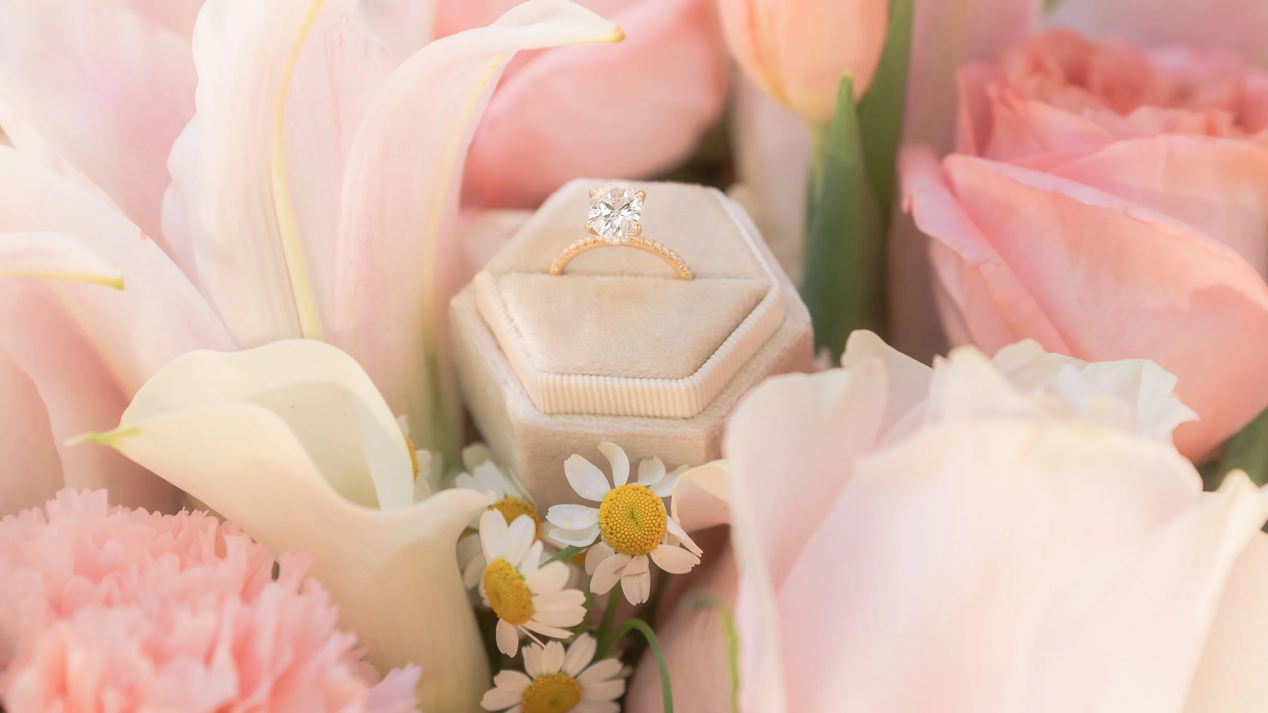 Divyank & Shalom-83.jpg