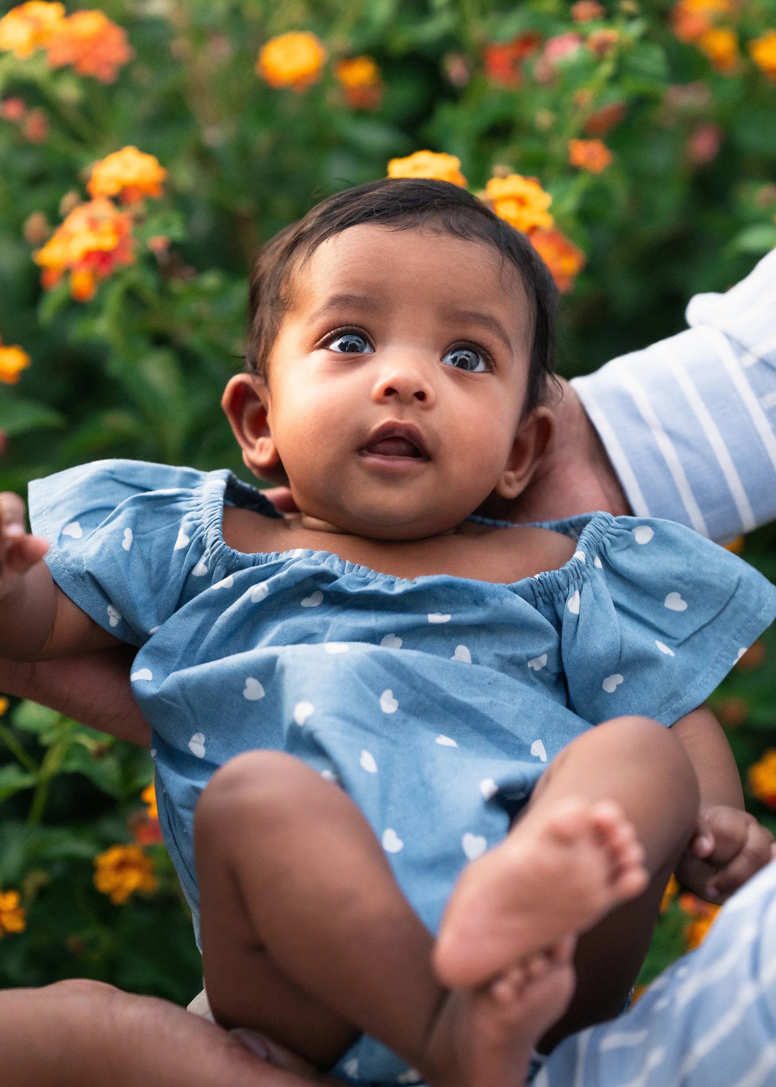 Titus Family-25.jpg