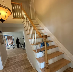 Person lying on the stairs of a house, with a dog and a person in the background in the living room.