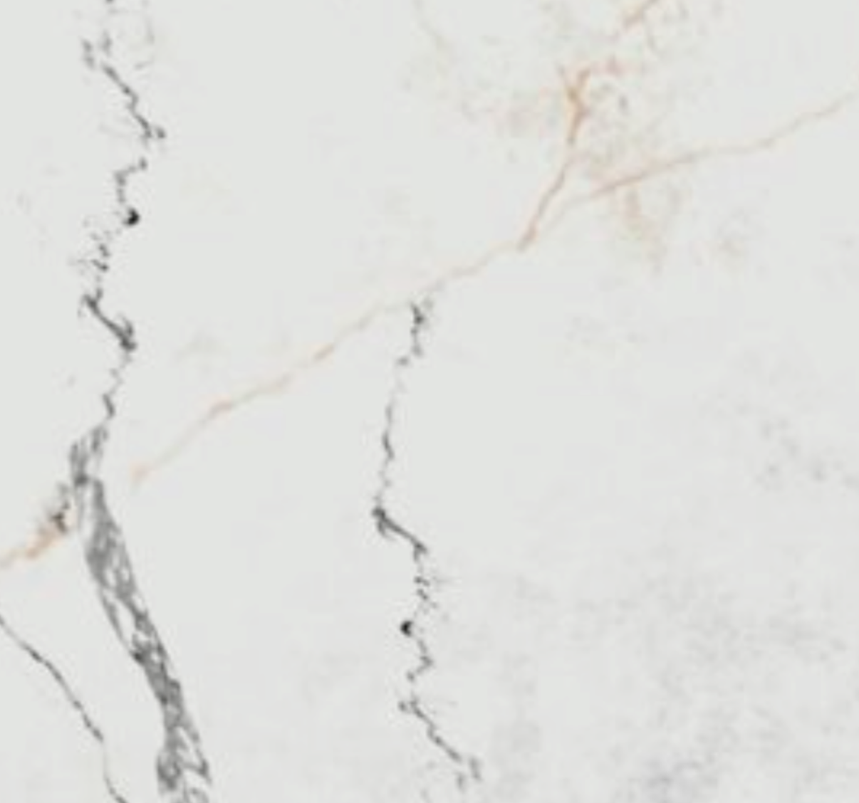 Screen Shot 2026-01-29 at 12.06.36 PM.png