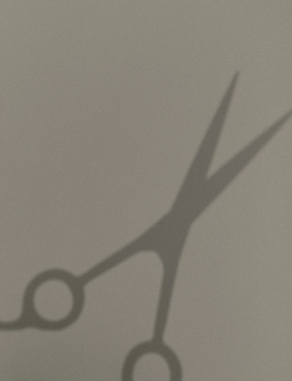 Precision women’s haircut at The Loft Salon Bel Air