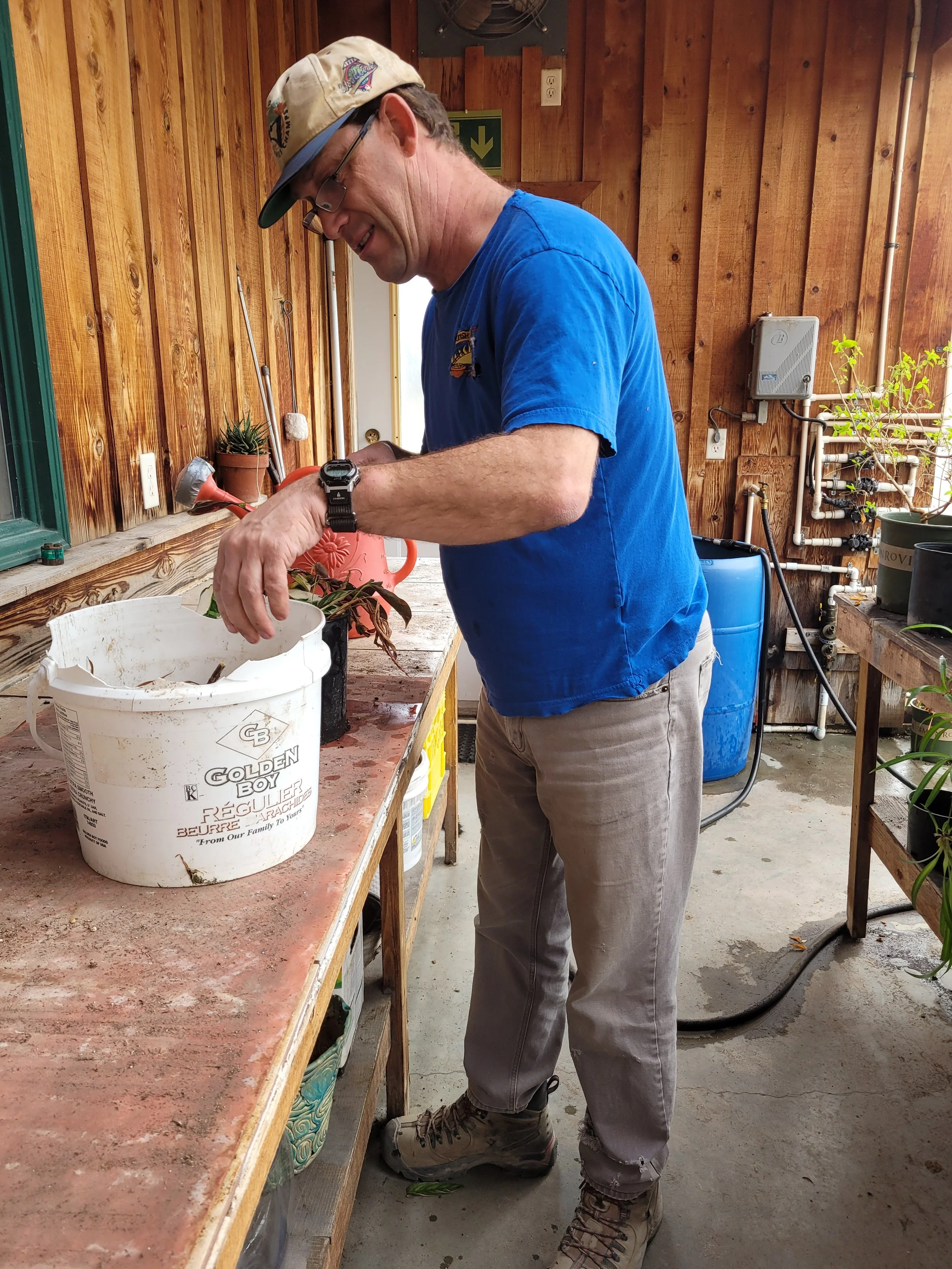 Man gardening on a wooden porch, wearing a beige baseball cap, glasses, blue t-shirt, beige pants, and hiking boots, watering a plant in a white bucket.