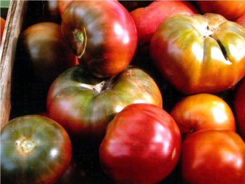 Black Krim Tomato.png