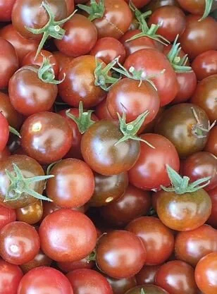 Brown Berry Tomato