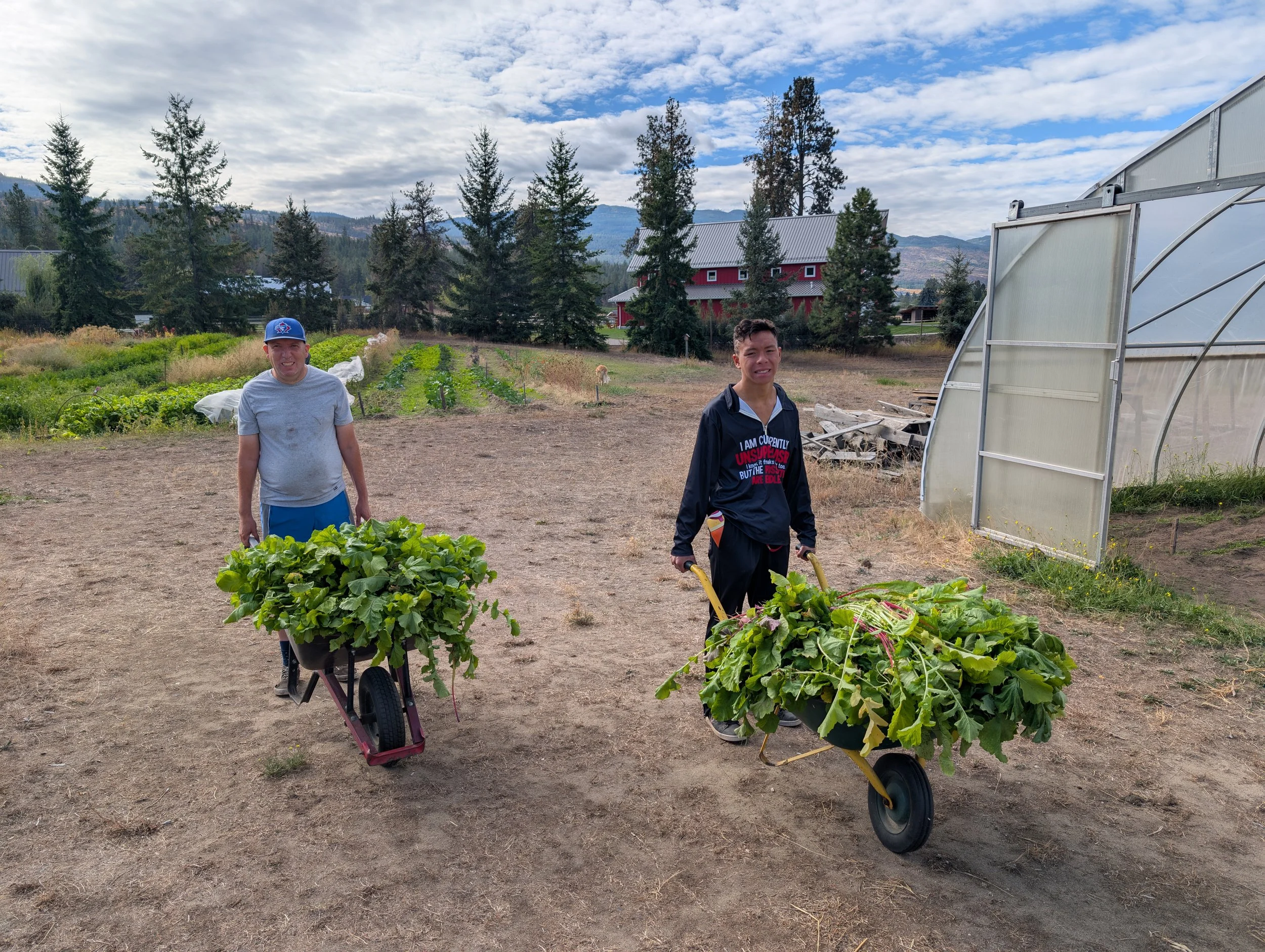 Two boys are in a garden, each pushing a wheelbarrow filled with leafy vegetables. The garden has rows of plants and a greenhouse on the right. In the background, there are trees, hills, and a red barn under a partly cloudy sky.