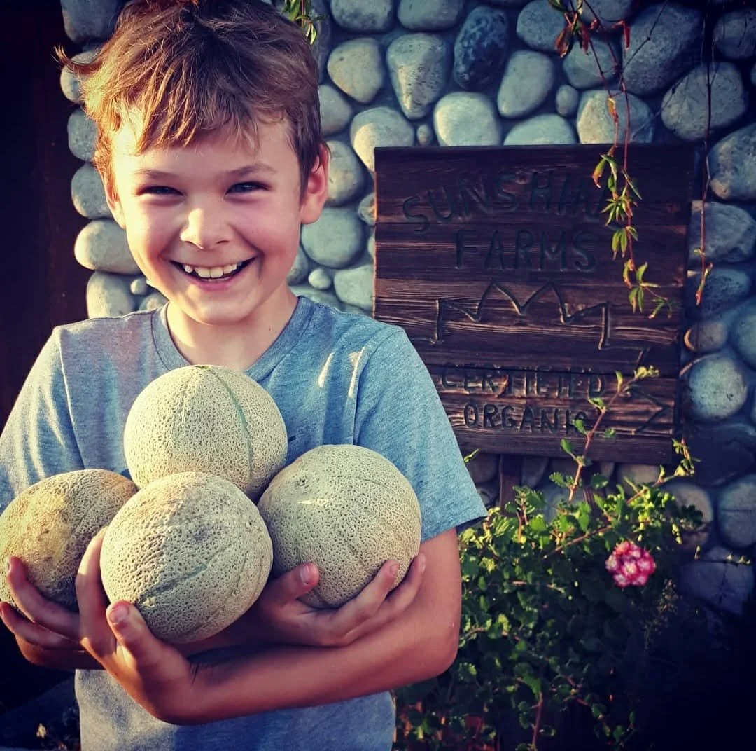 Sierra Gold Cantelope