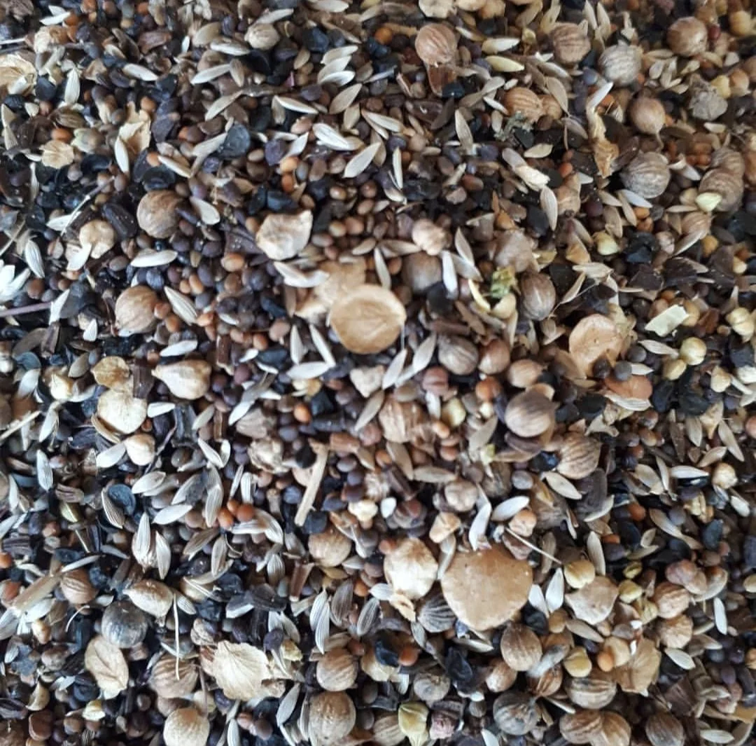Close-up of mixed bird seed including sunflower seeds, millet, and cracked corn.