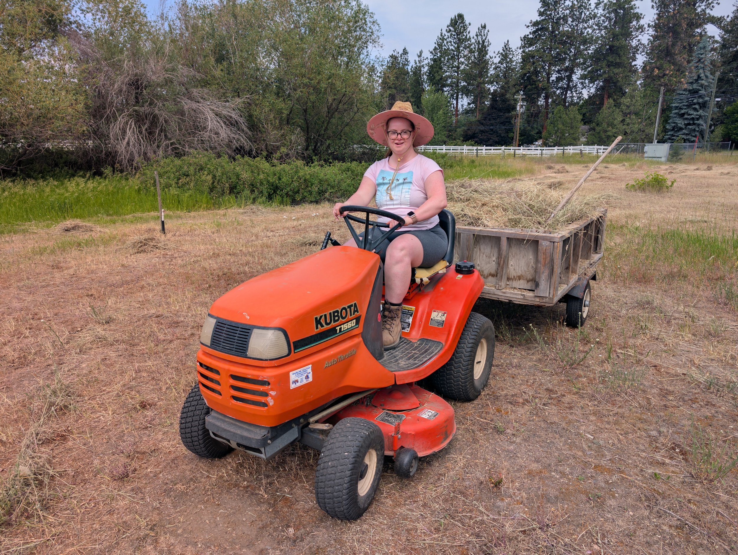 A woman wearing a large sunhat, glasses, a light pink shirt, and gray shorts sitting on an orange Kubota T1550 lawn tractor pulling a small wooden cart filled with hay or dried grass in a rural outdoor area with grass, trees, and a fence in the background.