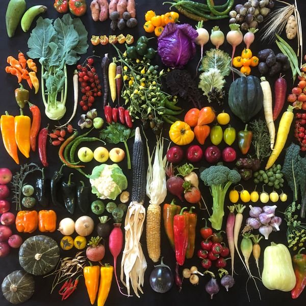 Assorted fresh vegetables arranged on a black surface, including peppers, tomatoes, zucchini, eggplants, carrots, radishes, garlic, broccoli, and gourds.