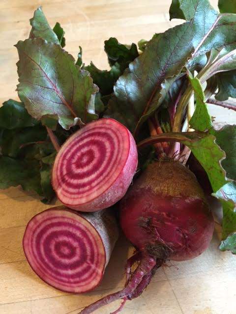Chioggia Beet
