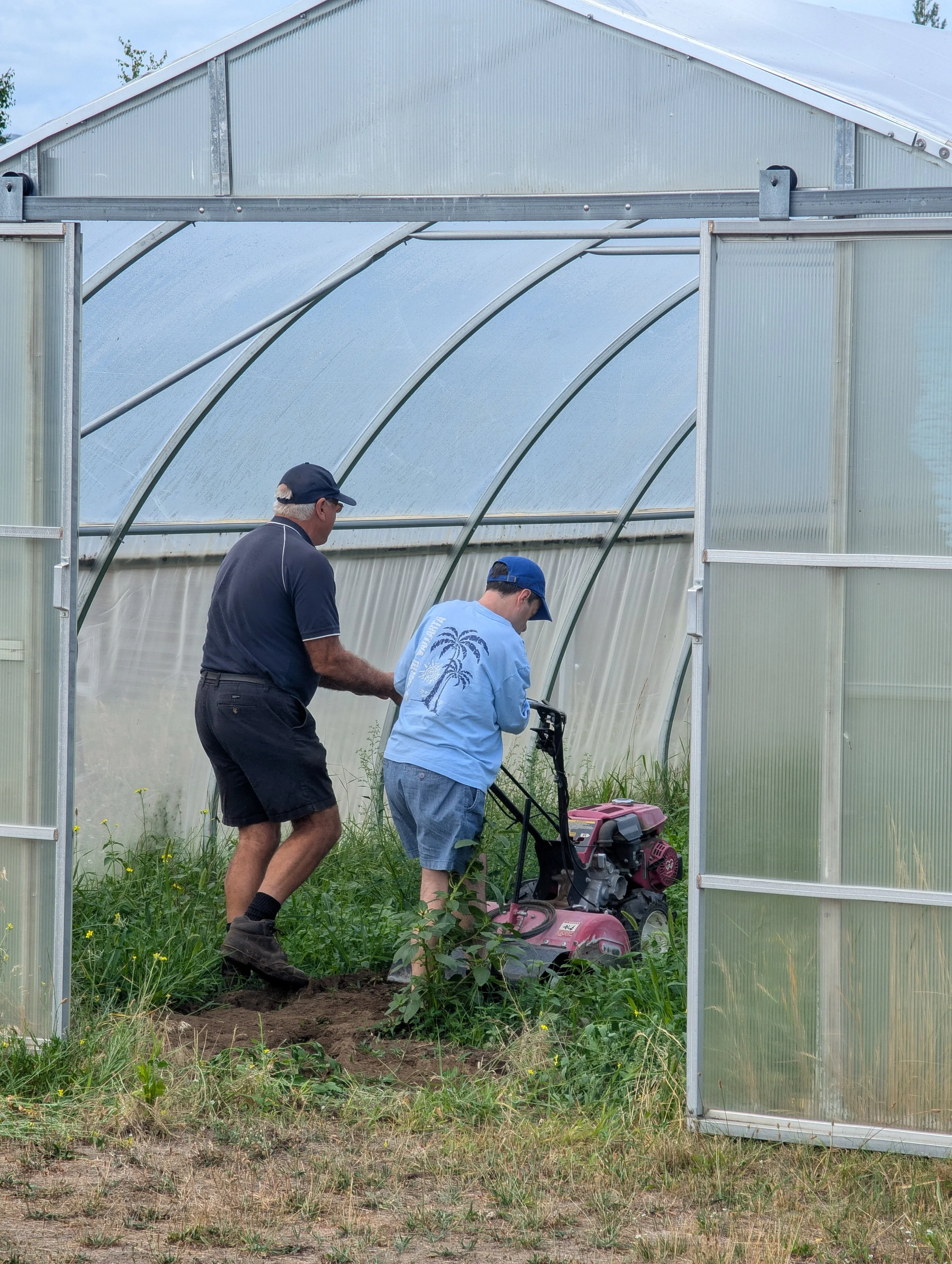 Two people working in a greenhouse; one child and one adult, with the adult pushing a small tiller machine.