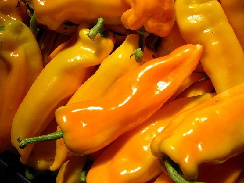 Gatherers Gold Pepper.jpg